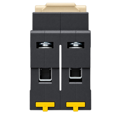 Whitehouse Lighting And Electrical NUR 63A 2 Pole 6kA Samite Circuit Breaker  NUR