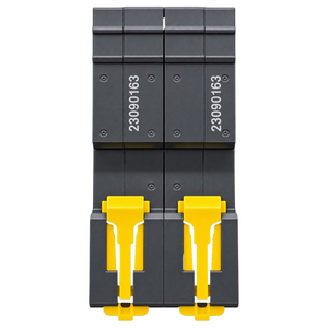 NUR 63A 2 Pole 6kA Samite Circuit Breaker