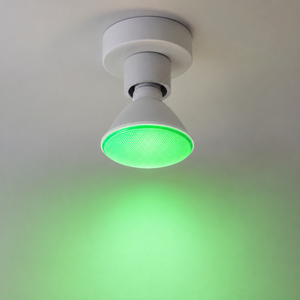 Eurolux 14W LED E27 PAR38 Green Bulb