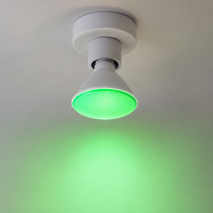 Whitehouse Lighting And Electrical Eurolux 14W LED E27 PAR38 Green Bulb  Eurolux